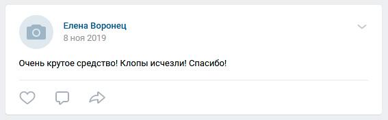 Отзывы о средстве Палач Super от клопов, тараканов, блох и муравьев