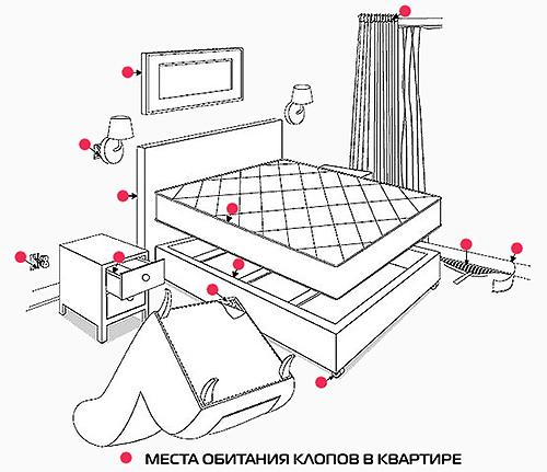 Как быстро обнаружить постельных клопов в квартире