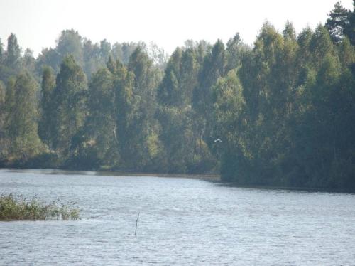 Подмосковная ловля леща в остывающей воде