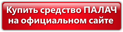 Отзывы о средстве Палач от домашних клопов