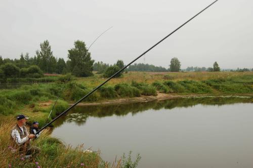 Поиск рыбы в остывающей воде