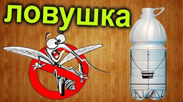 Эффективные ловушки комаров Эффективные ловушки комаров