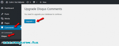 Как добавить комментарии Disqus в WordPress