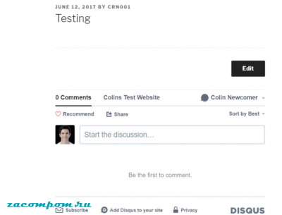 Как добавить комментарии Disqus в WordPress