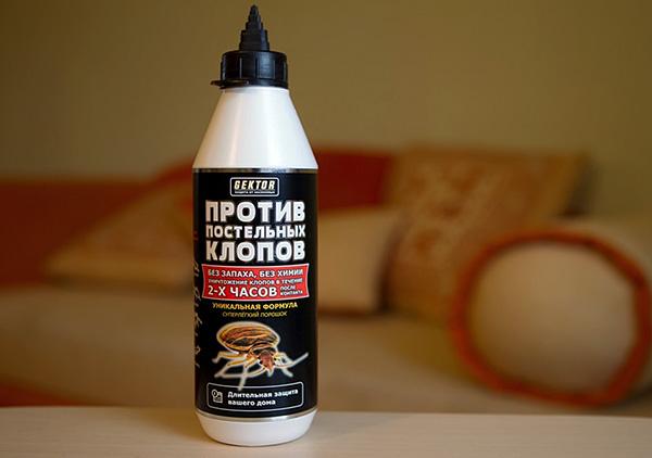 Как выглядят постельные клопы