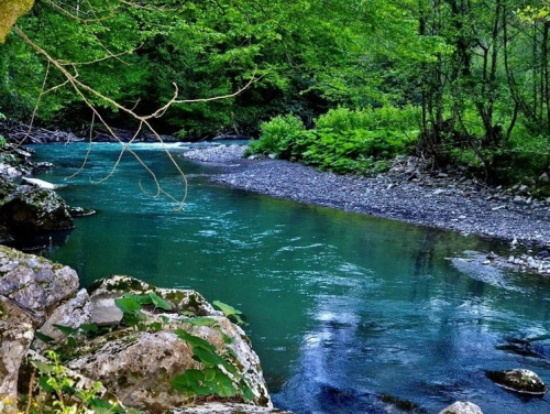 Охота за усачем в горной реке