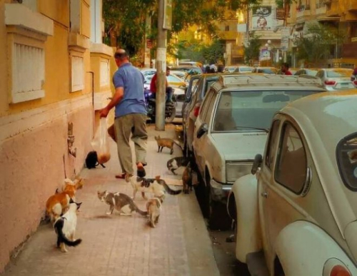 Египет, которого не видят туристы