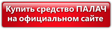 Средство Палач для уничтожения постельных клопов