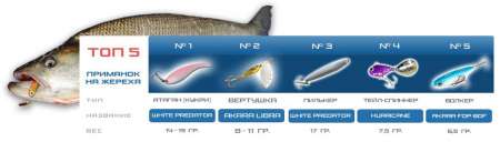 Топ-5 приманок для ловли жереха летом