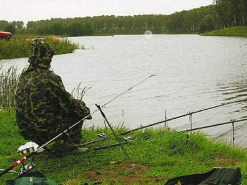 Карп в холодной воде