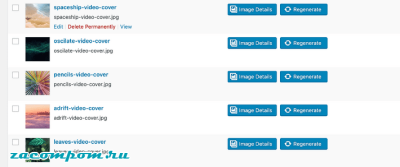 Как восстановить эскизы и обрезать изображения в WordPress